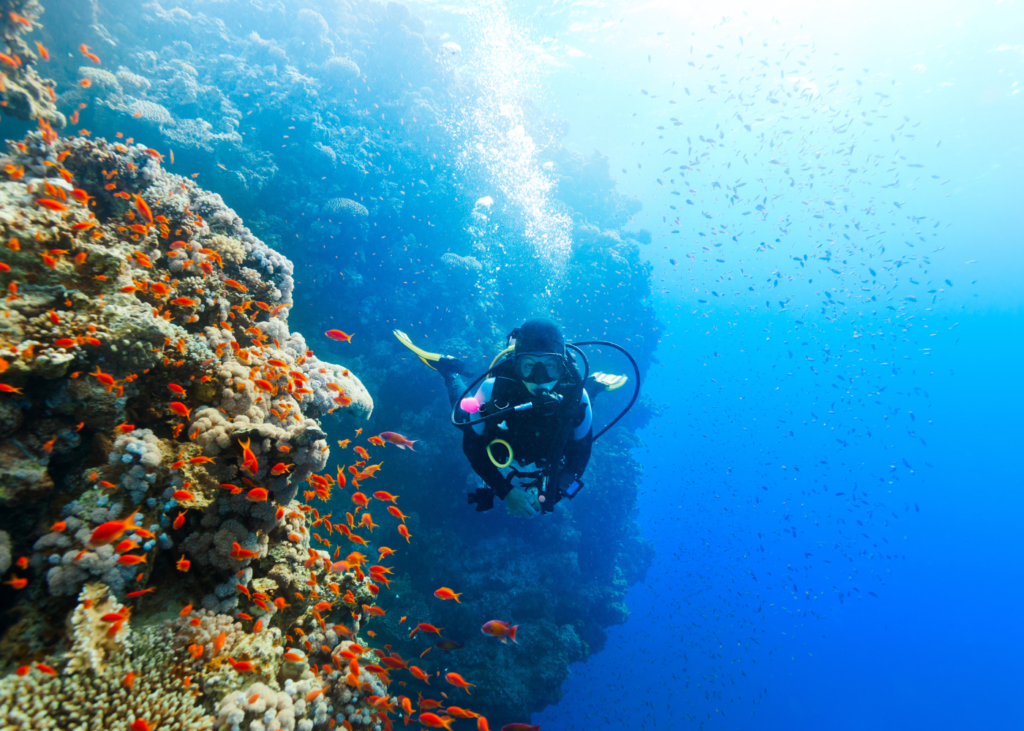 Diving in Galapagos